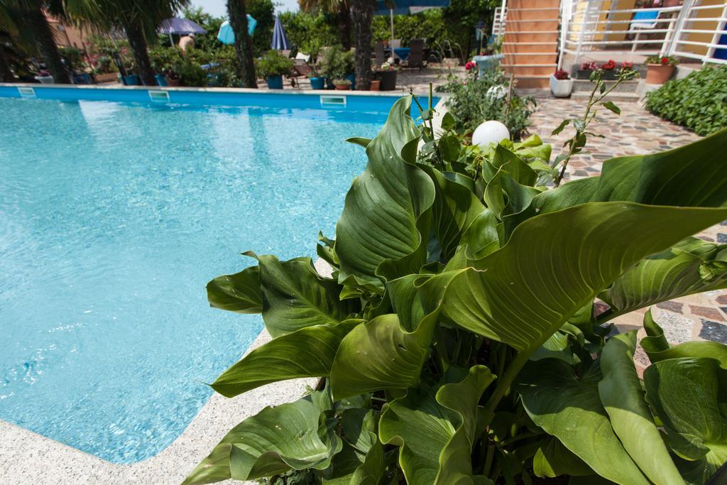 Apartments Paradis Rovigno Esterno foto